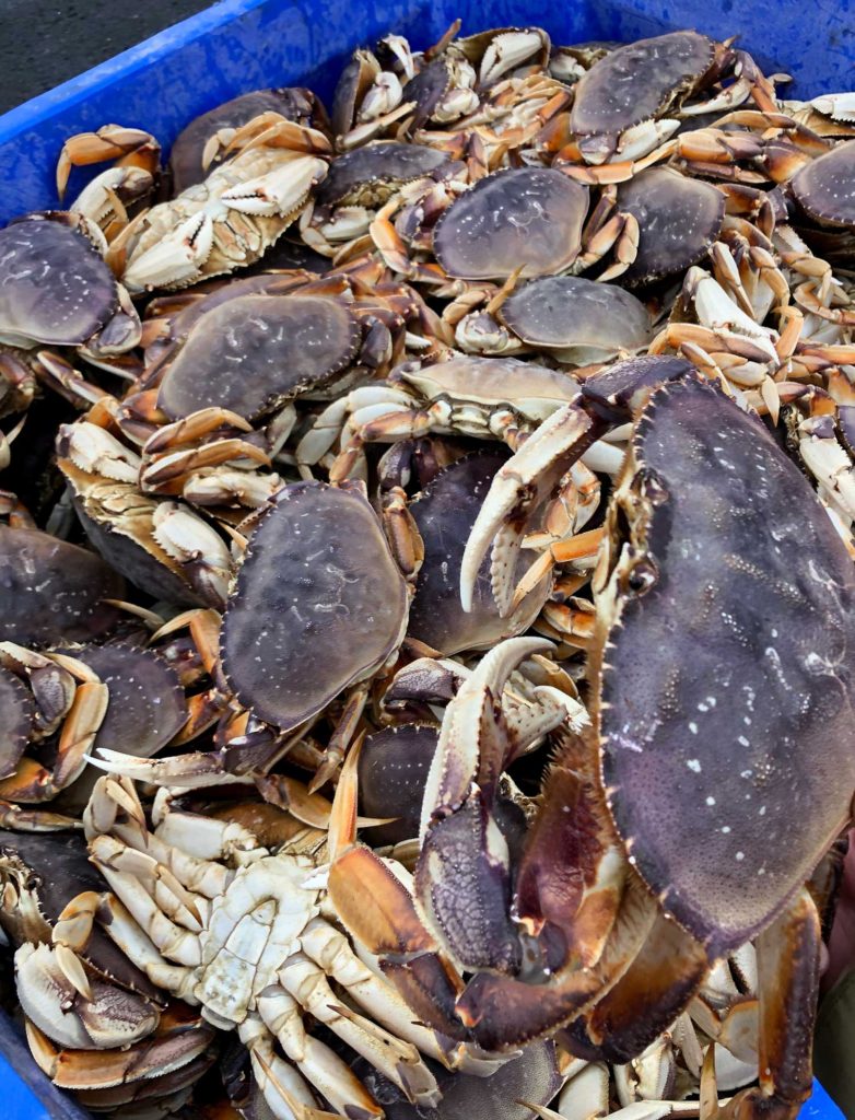crabs in bin